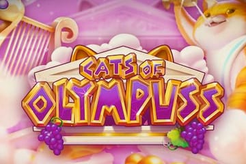 Cats of Olympus