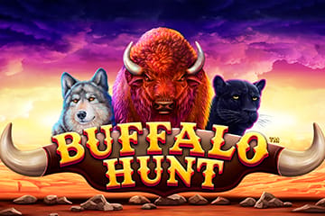Buffalo Hunt Synot