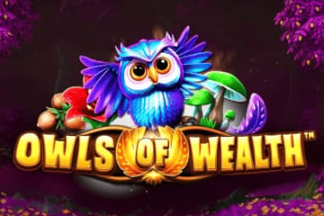 Owls of Wealth Synot