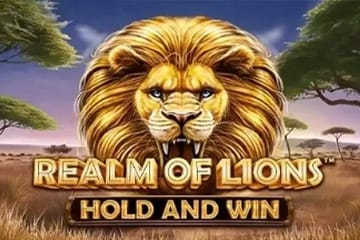 Realm of Lions - Synot