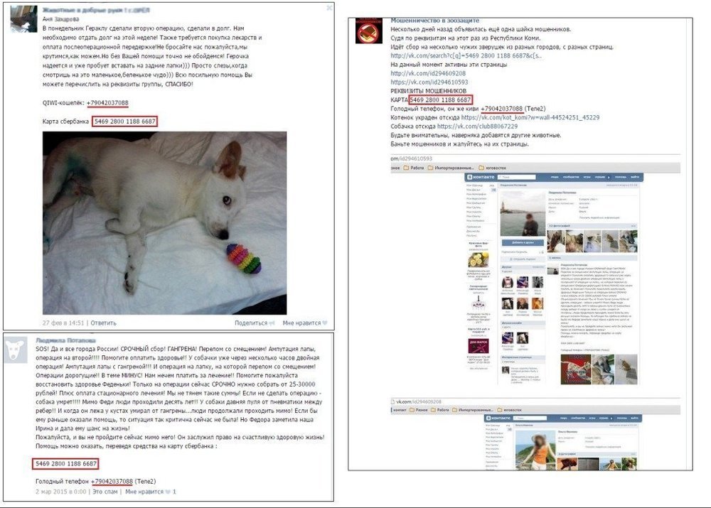 Мошенники в благотворительности